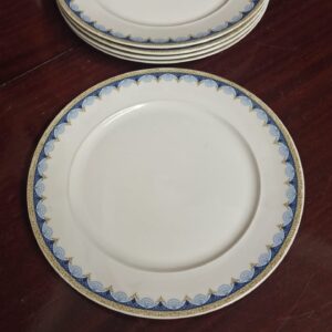 Πιάτα φαγητού 5τμχ 25εκ